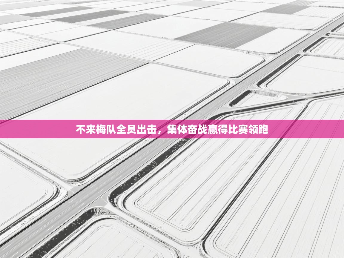 云开体育官网-不来梅队全员出击,集体奋战赢得比赛领跑 第3张