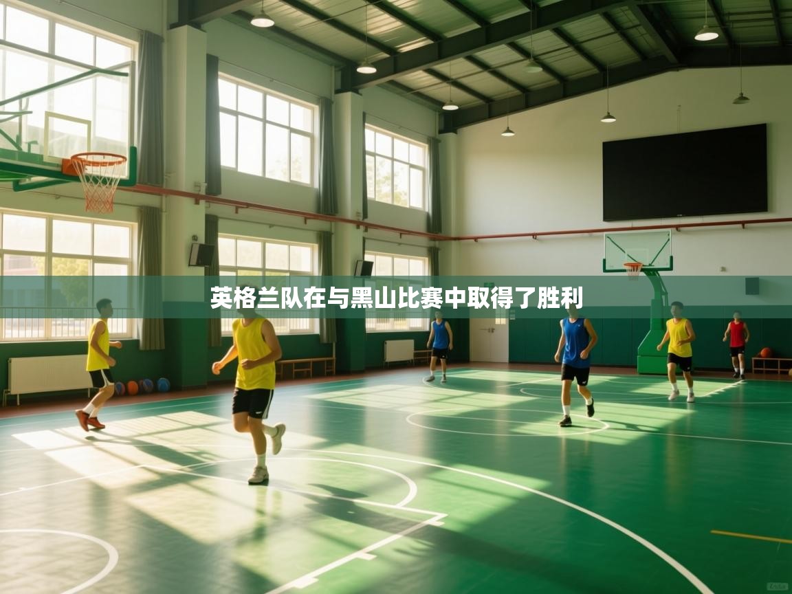 开云体育修改登录密码-英格兰队在与黑山比赛中取得了胜利 第3张