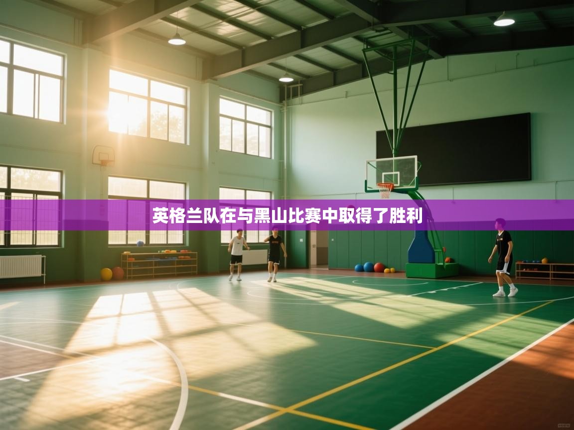 开云体育修改登录密码-英格兰队在与黑山比赛中取得了胜利 第4张