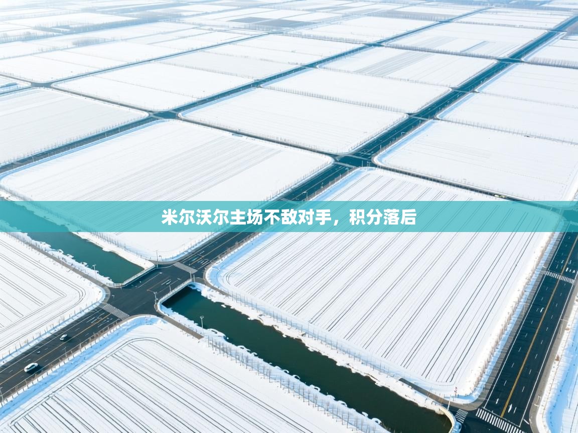 开云体育网络异常修复-米尔沃尔主场不敌对手,积分落后  第3张