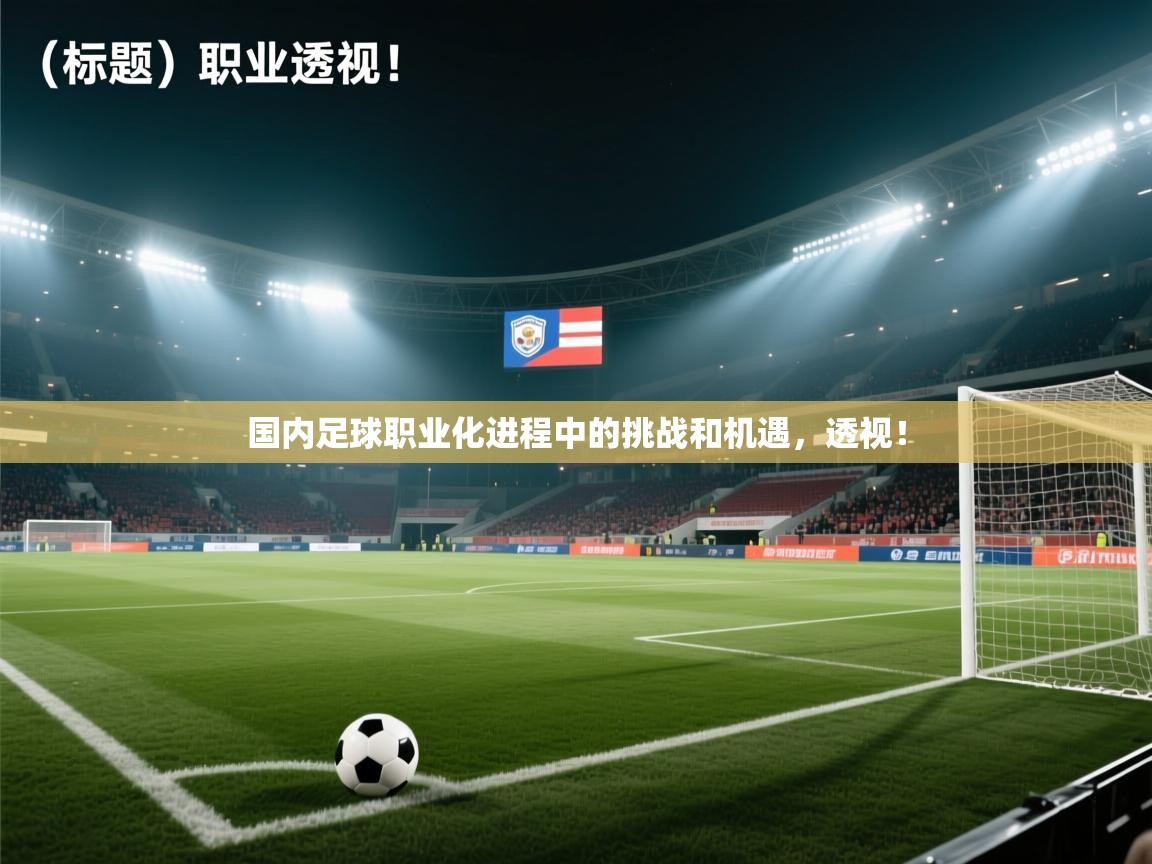 开云客服-国内足球职业化进程中的挑战和机遇,透视!  第2张