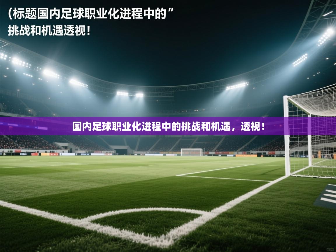 开云客服-国内足球职业化进程中的挑战和机遇,透视!  第4张