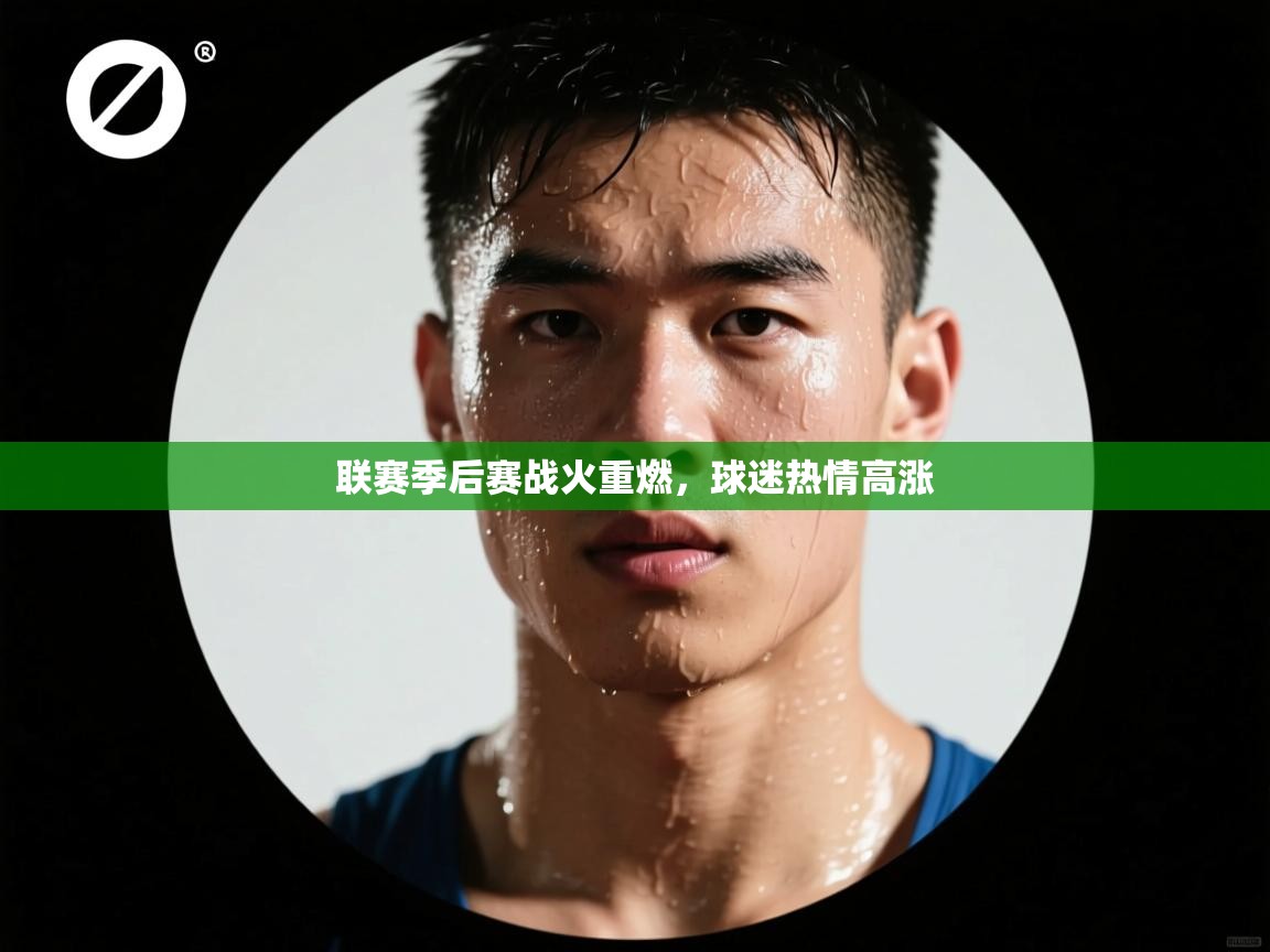 开云体育在线-联赛季后赛战火重燃，球迷热情高涨  第3张