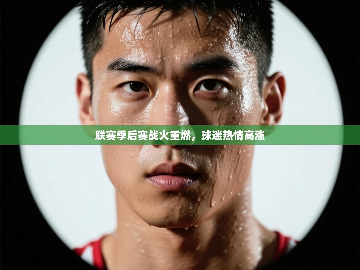 开云体育在线-联赛季后赛战火重燃，球迷热情高涨  第4张