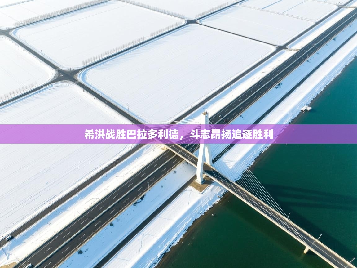 开云体育夜间模式开启-希洪战胜巴拉多利德,斗志昂扬追逐胜利 第3张