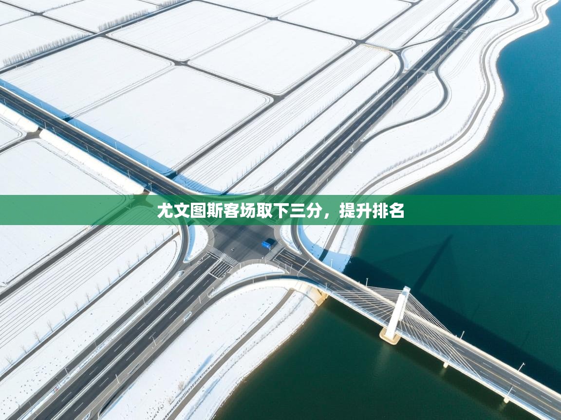 云开体育官网登录入口手机版-尤文图斯客场取下三分,提升排名 第1张