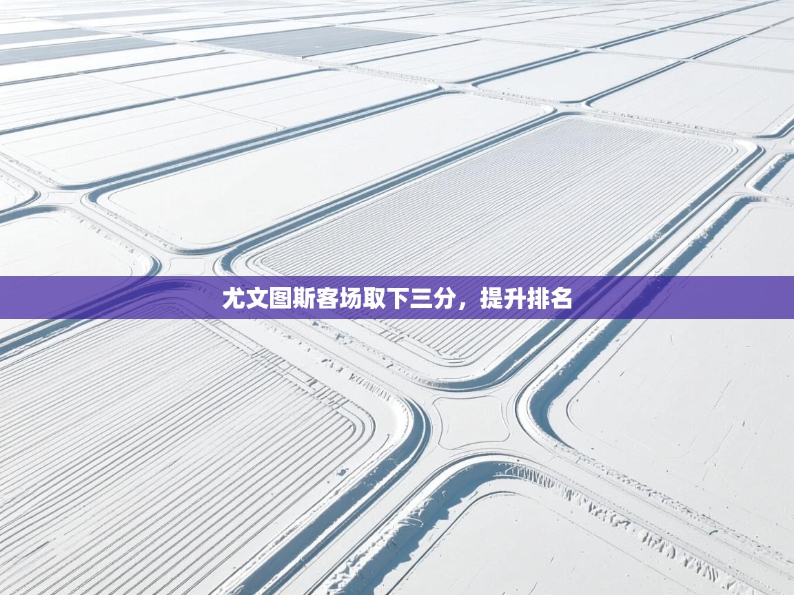 云开体育官网登录入口手机版-尤文图斯客场取下三分,提升排名 第2张