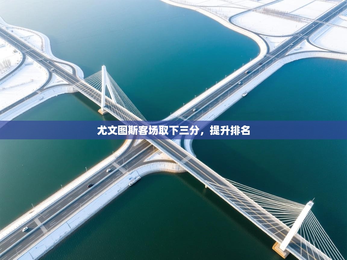 云开体育官网登录入口手机版-尤文图斯客场取下三分,提升排名 第4张