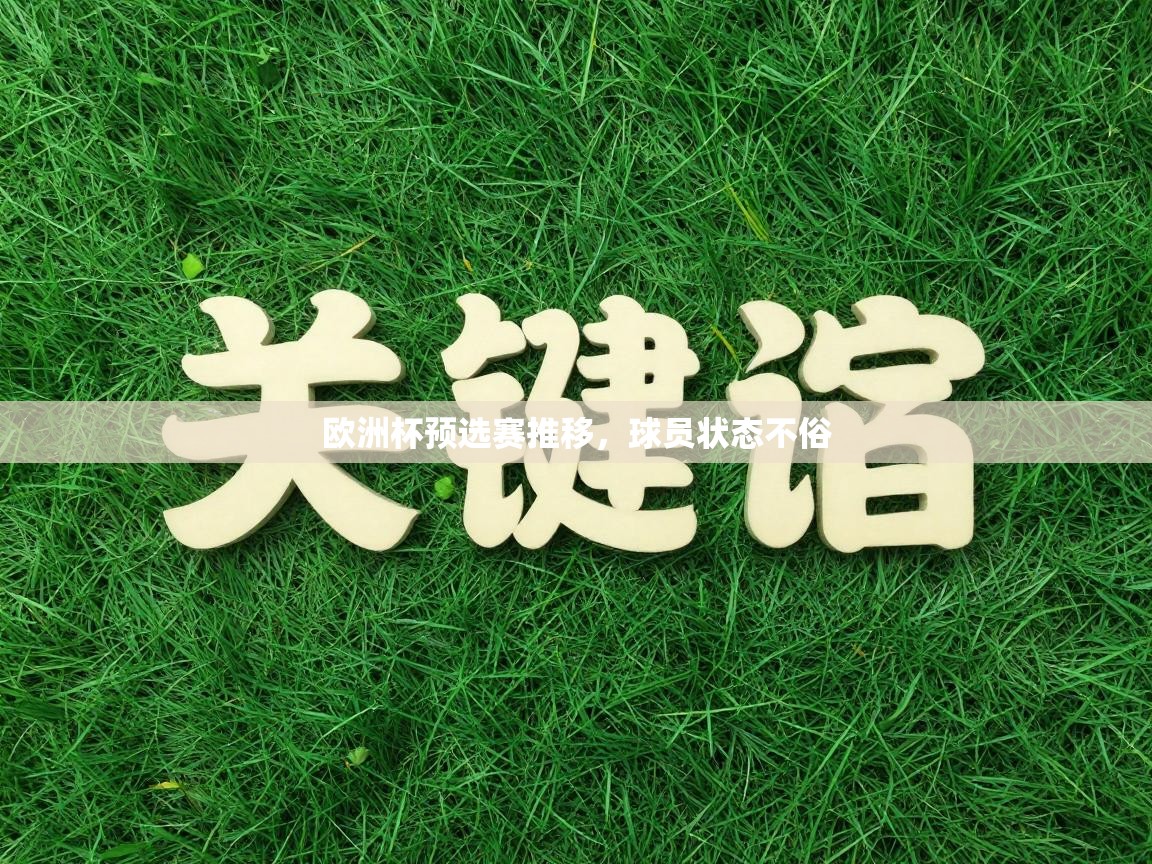 开云体育旧版下载地址-欧洲杯预选赛推移，球员状态不俗  第2张
