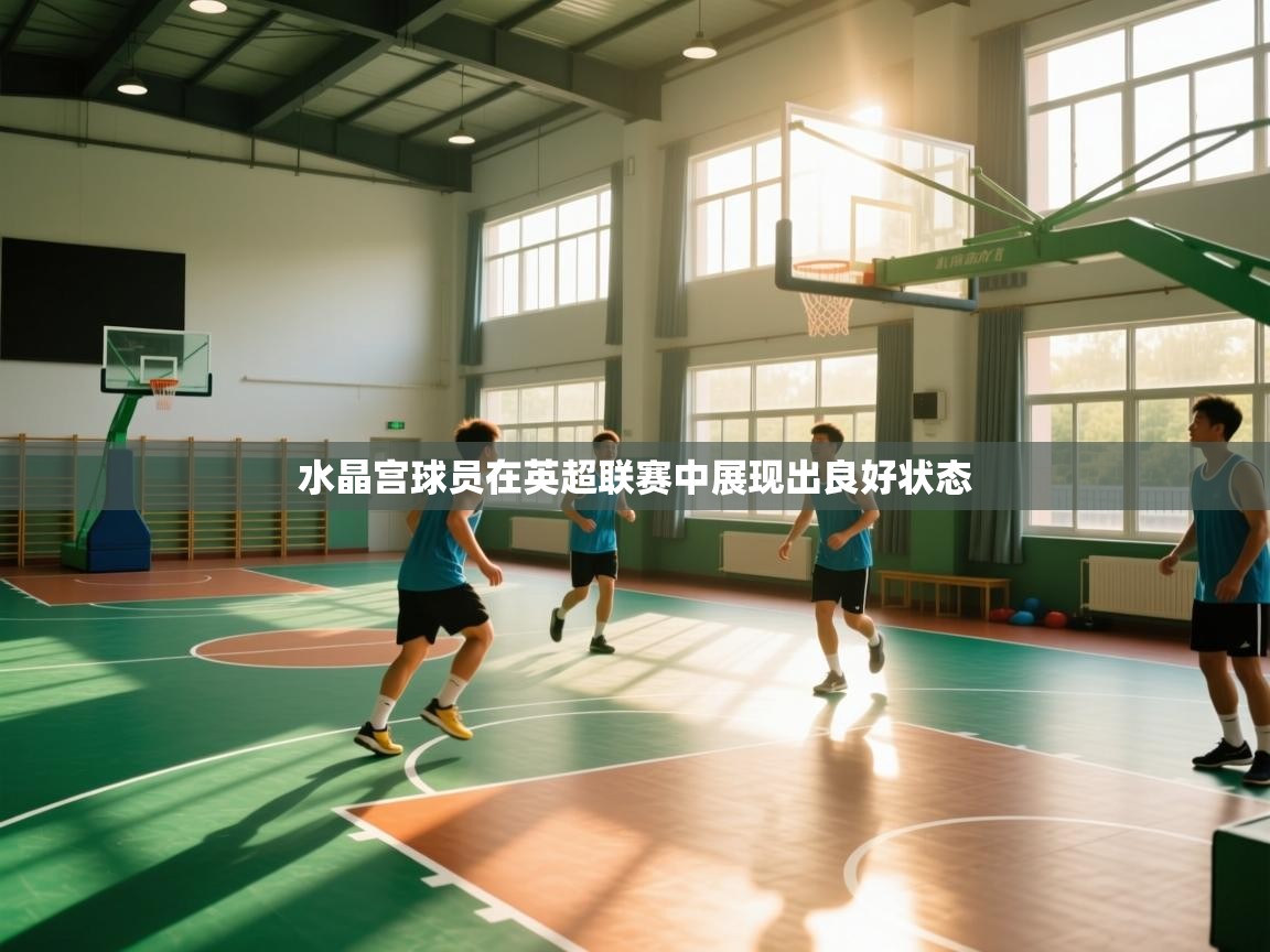 开云体育夜间模式开启-水晶宫球员在英超联赛中展现出良好状态 第2张