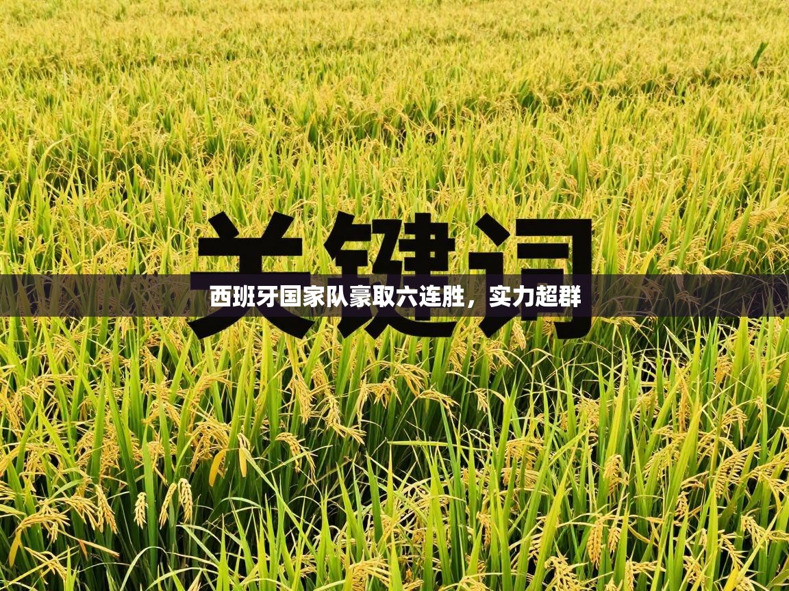 云开体育官网登录入口手机版-西班牙国家队豪取六连胜,实力超群 第2张