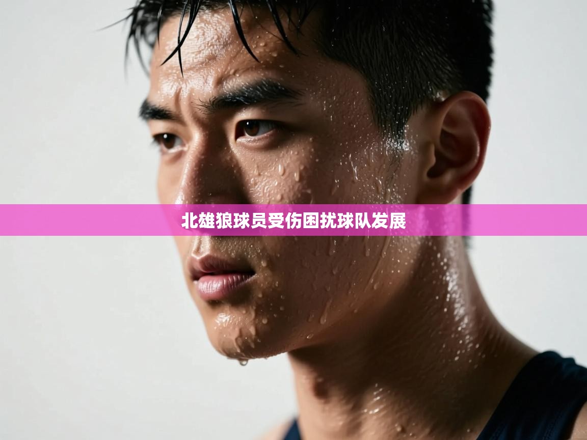 开云体育安卓APK下载-北雄狼球员受伤困扰球队发展  第2张