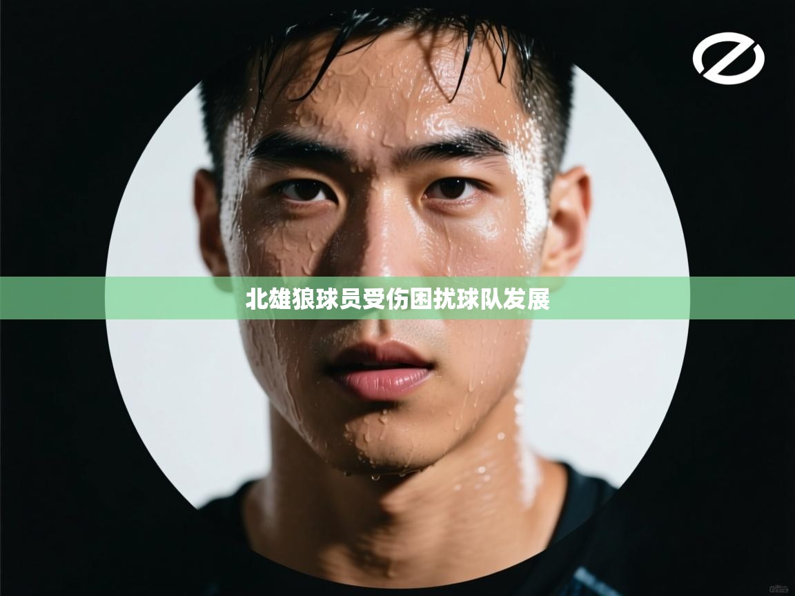 开云体育安卓APK下载-北雄狼球员受伤困扰球队发展  第3张