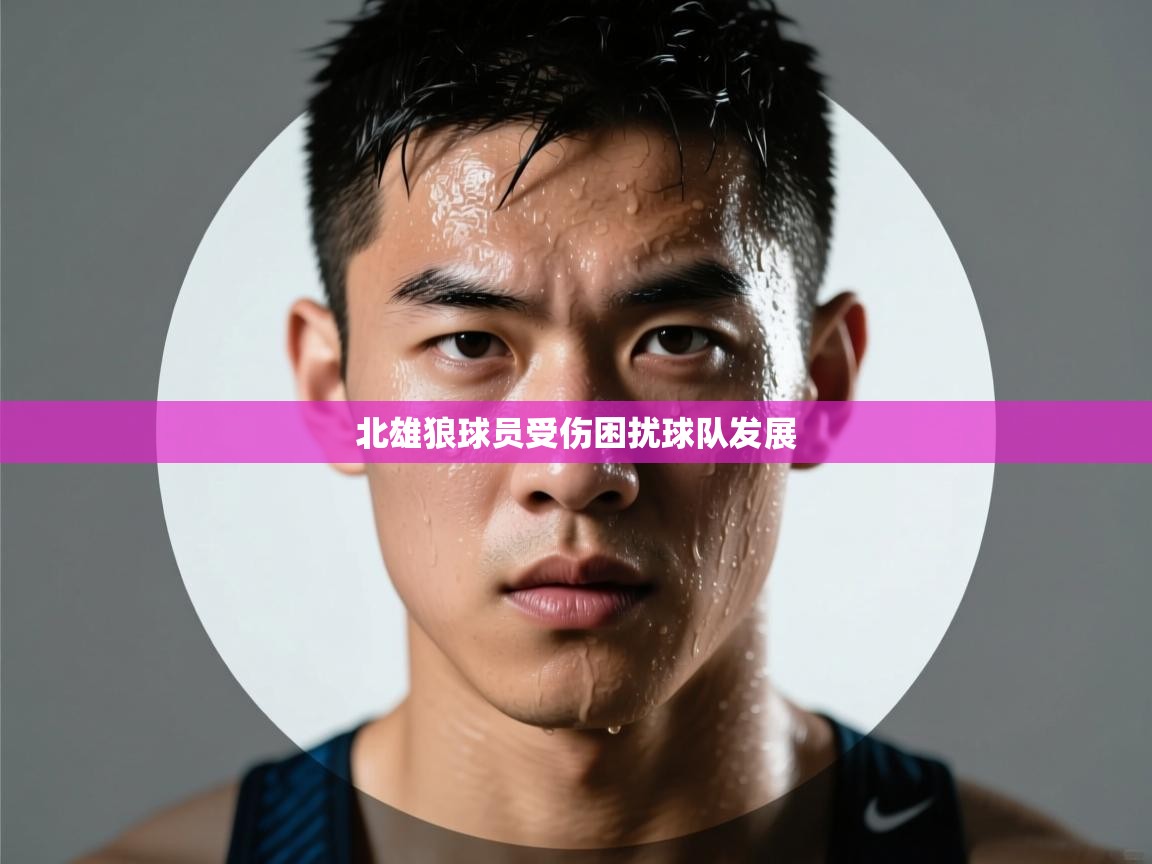 开云体育安卓APK下载-北雄狼球员受伤困扰球队发展  第4张