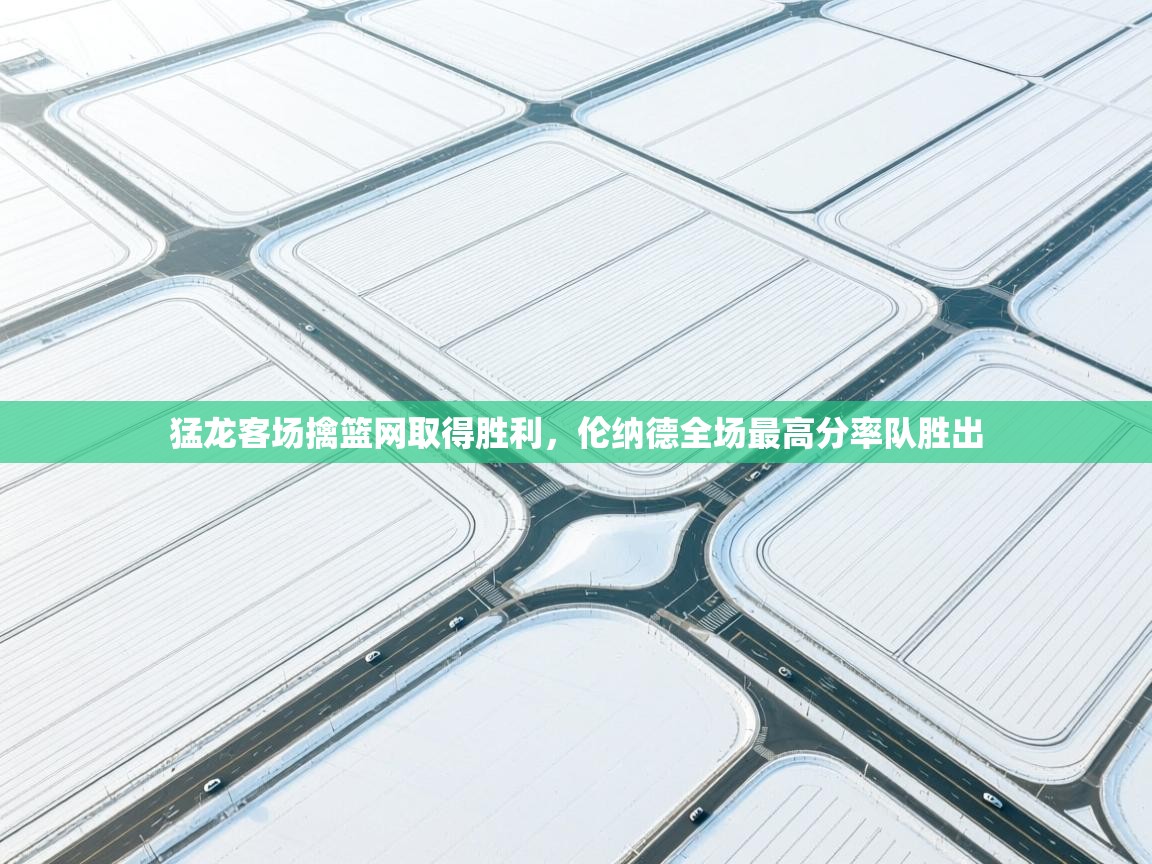 kaiyun体育入口-猛龙客场擒篮网取得胜利，伦纳德全场最高分率队胜出  第3张