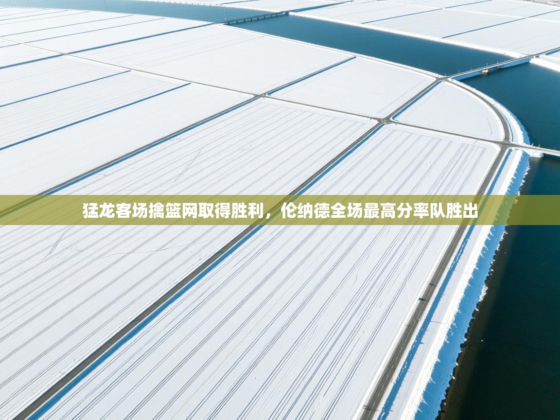 kaiyun体育入口-猛龙客场擒篮网取得胜利，伦纳德全场最高分率队胜出  第4张