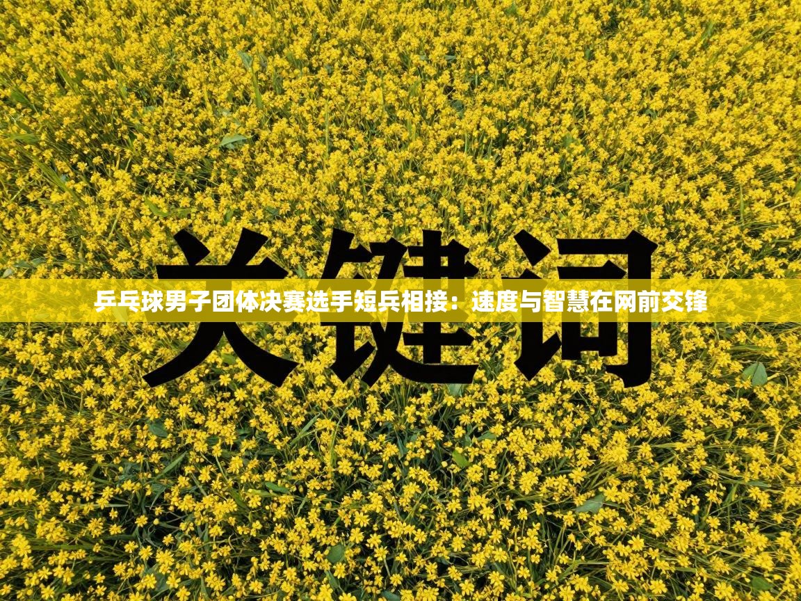 开云体育工单提交入口-乒乓球男子团体决赛选手短兵相接：速度与智慧在网前交锋  第4张