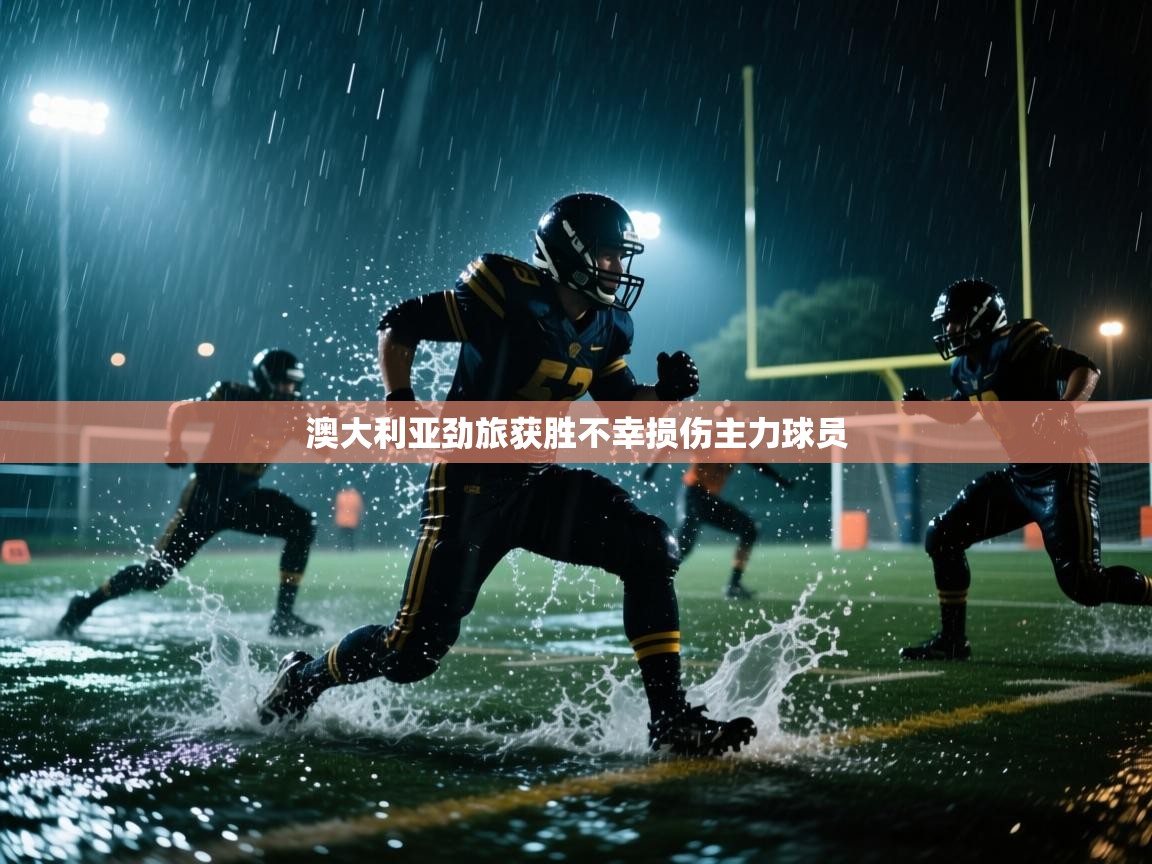 开云体育工单提交入口-澳大利亚劲旅获胜不幸损伤主力球员  第4张