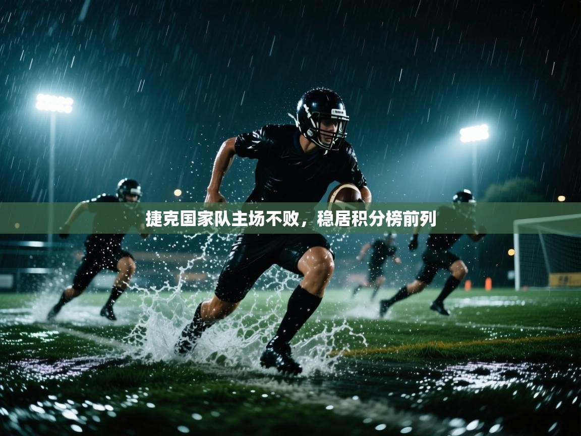 开云体育VIP权益说明-捷克国家队主场不败，稳居积分榜前列  第4张