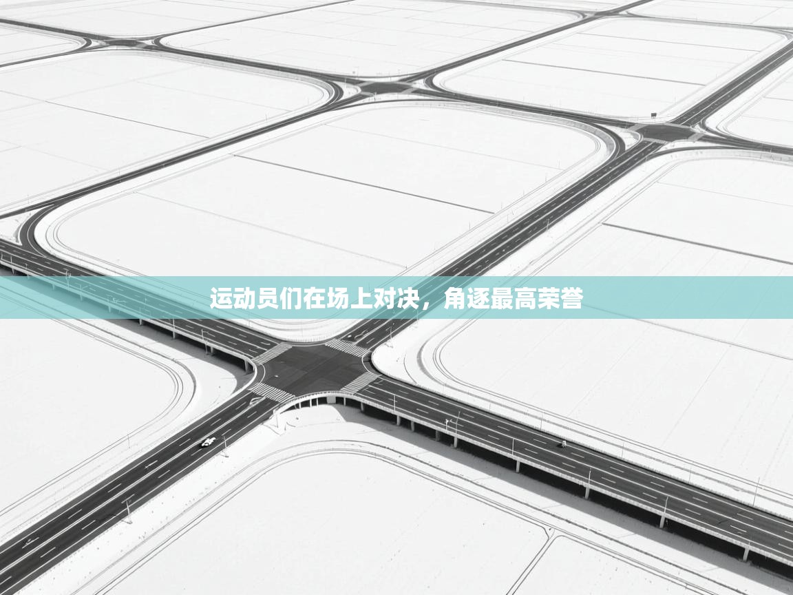 开云体育app下载安卓-运动员们在场上对决，角逐最高荣誉  第1张