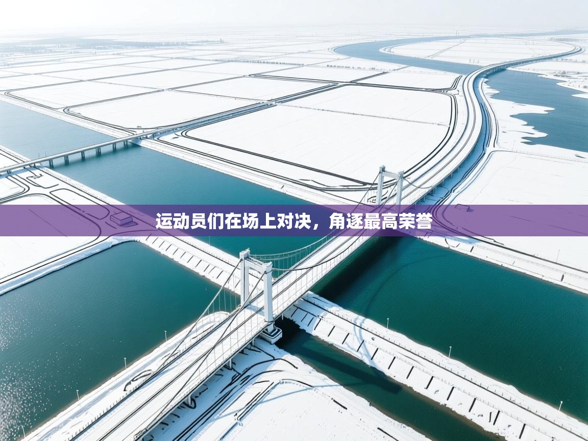 开云体育app下载安卓-运动员们在场上对决，角逐最高荣誉  第2张