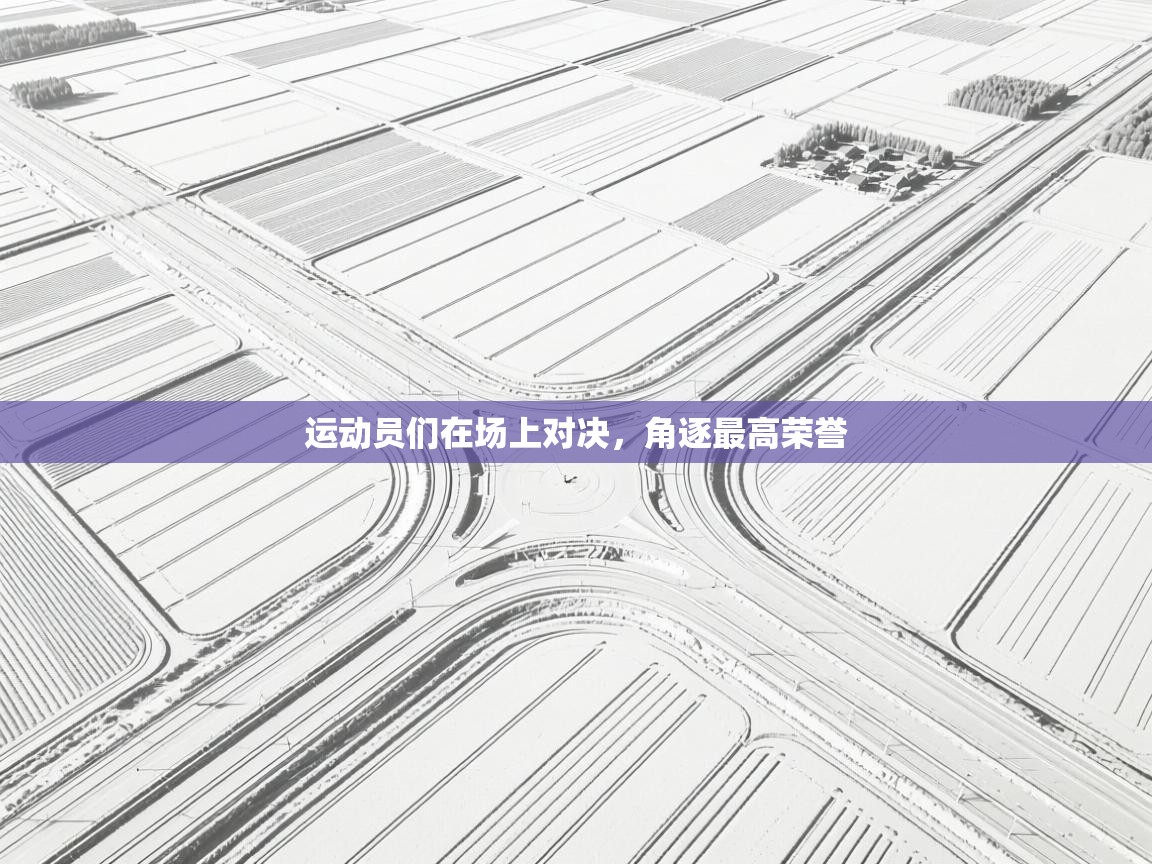 开云体育app下载安卓-运动员们在场上对决，角逐最高荣誉  第3张