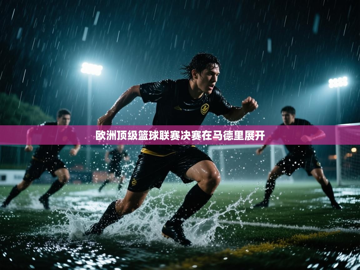 开云入口-欧洲顶级篮球联赛决赛在马德里展开 第2张